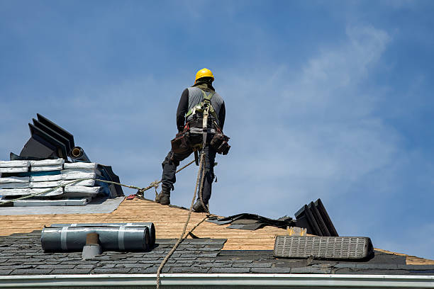 Professional Flat Roof Repair technician working in La Crescent, MN